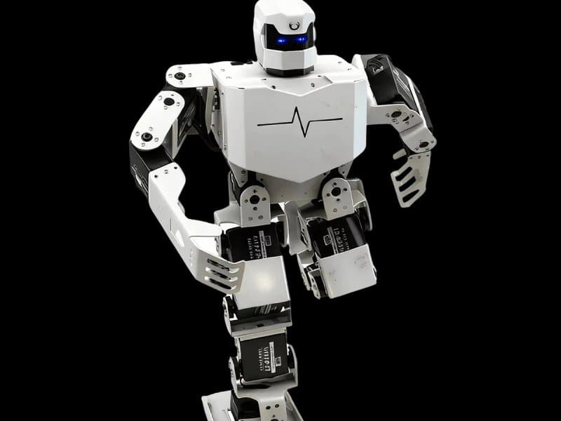 RoboSoul H5S