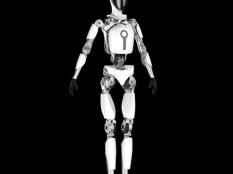 T1