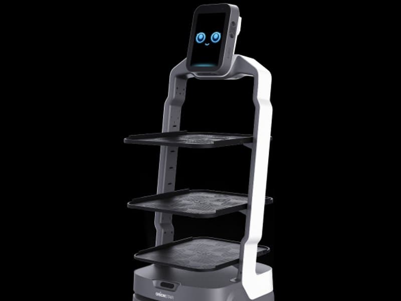 OrionStar Mini Companion Robot