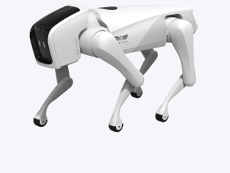 Weilan AlphaDog C300 Pro